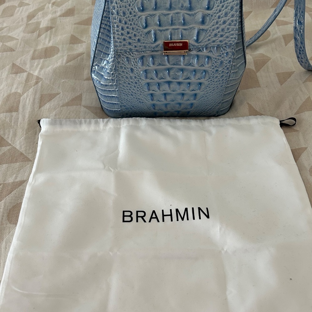 Brahmin - Picture 2 of 6